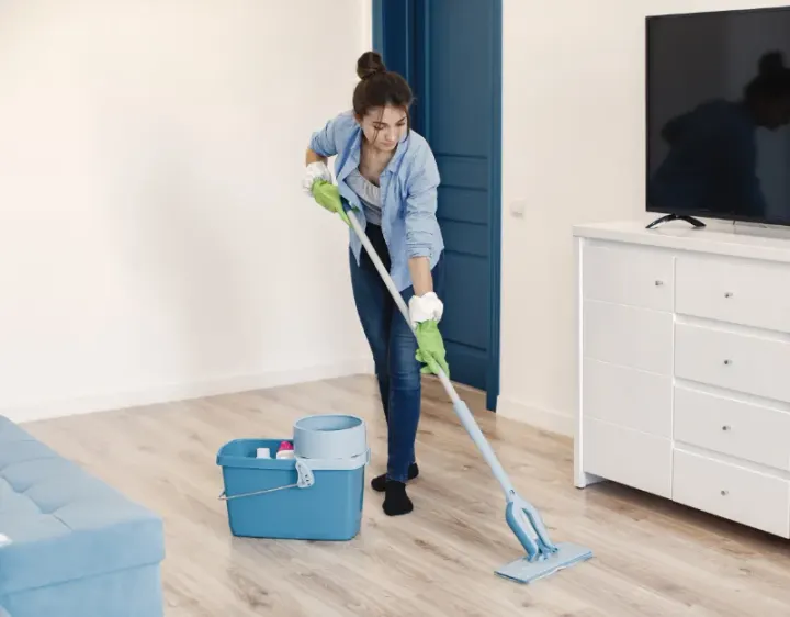 Femme de ménage Frampas